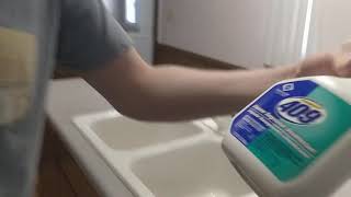 How 2 Clean Your Sink