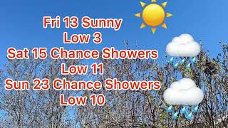 Weather Forecast For The City Of Kawartha Lakes