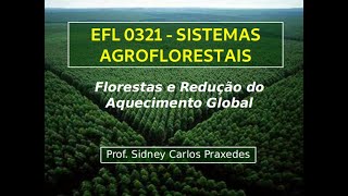 01 - Florestas e redução do aquecimento global