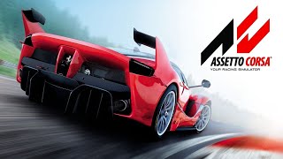 Assetto Corsa Playing online