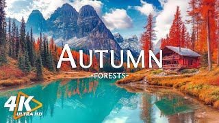 4K Autumn Landscapes with Soothing Piano Music - October's Autumn Ambience & Fall Foliage