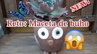 RETO: #MACETADEBUHO #plantas #garden #jardín #suculentas #maceta #buho