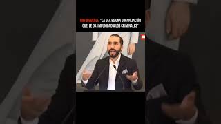 Bukele lo dijiste y el tiempo le dio la razón #noticias #ultimahora #nayibbukele #bukele #news