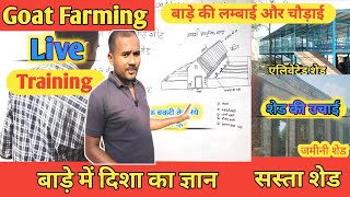 Goat Shed| Bakri Ko Bimar hone Se Kaise Bachate h Bade|Goatfarming Training Class 2|Vimalumrao