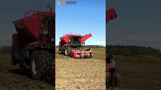 Harvesting Sugar Beet with the Agrifac light traxx at Thoresby Farming #shorts