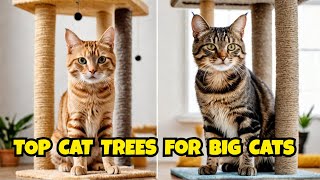 10 Best Cat Trees for Big Cats