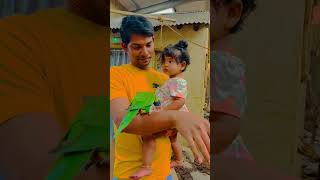 തത്തമ്മ  ഇഷ്ടം 😍😍#shorts #kidsdayout #parrotvideo #parrot #parrotlovers