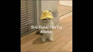 Dolu Kadehi Ters Tut - Aldattım (speed up)