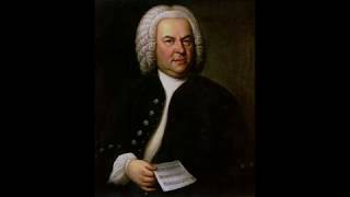 J. S. Bach - Prelude and Fugue in E minor, BWV 533 - Organ - Healing Music - 432 Hz.