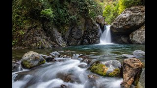 Relaxing Sleep Music - With Beautiful Nature and Waterfall