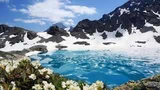 Поход в Архыз.  Льдины и рододендроны.  Первая серия