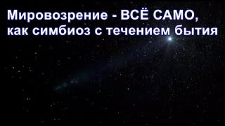 Из ниоткуда в никогда. Часть 17. Мировоззрение Всё Само, как симбиоз с течением бытия. Дмитрий Гаун.