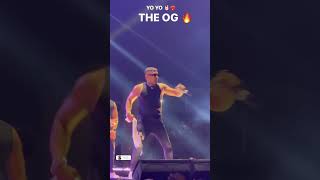 madness ! energy level 🎚️ yo yo honey Singh #trending #pune #yoyohoneysingh