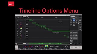 Timeline Options Menu