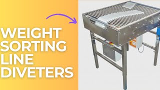 Check weigher with line diverter#checkweigher #machine #equipment