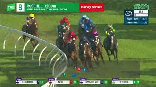 Run To The Rose 2024 - TRAFFIC WARDEN (3YO SWP G2) Group 2 Rosehill 14 September