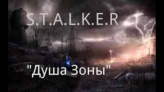 S.T.A.L.K.E.R  "Душа Зоны"./Фантастика./ Боевик.