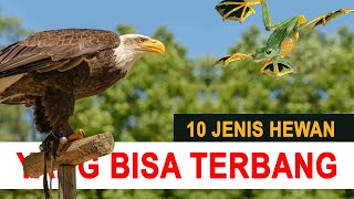 10 Jenis Hewan yang Bisa Terbang di Dunia