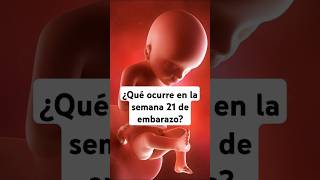 🤔 ¿Qué ocurre en la semana 21 de embarazo? 🤰 Síntomas y desarrollo del bebé