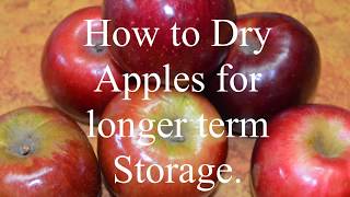 How to Dry Apples for Longer term storage