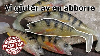 Vi förvandlar en abborre till ett SOFTBAIT!  avgjutning i silikon.  från fisk till jigg!!