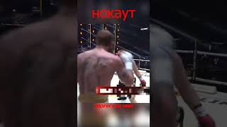 Дацик vs Емельяненко - НОКАУТ #мма #бой #нокаут #mma