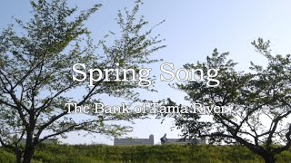 美しい春の音と狛江の堤防.Causeway of Tama River "Spring Melody"  Tokyo Japan.