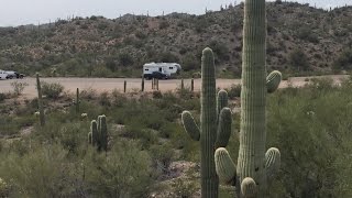 Wickenburg, AZ Box Wash  Vulture Peak Free BLM Camping