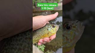 Stop eating my bait #fishing #catchandrelease #creekfishing #sunfish #shorts #home