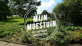 #21- Mijn moestuin, het najaar: bieten en raapsteel