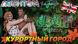 Жизнь в Англии🇬🇧Брайтон и Хоув/Великобритания/английский приморский курортный город/ВЛОГ АНГЛИЯ/28