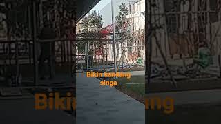 #video shorts bikin kandang singa,kuli bangunan