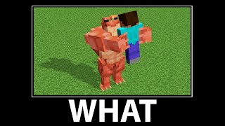 All Minecraft Wait What memes | Episodes