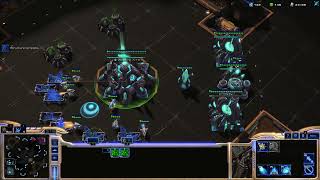 Starcraft 2: Road to Master