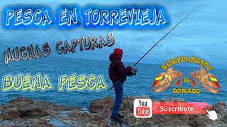 Gran dia de Pesca en Torrevieja SURFCASTING EL DORADO