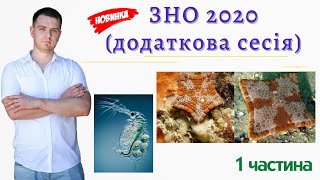 Розбір ЗНО 2020 (додаткова сесія) I 1 частина I Підготовка до ЗНО 2021.