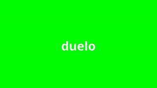 what is the meaning of duelo