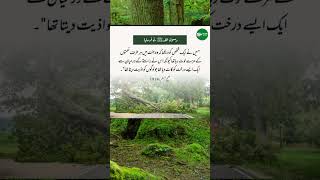 Hadees In Urdu Status For Whatsapp🌹🌹🌹 || 💞💞Hadees Status New Video💕💕 || ✨Urdu Hadith Status✨