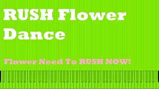 《Rush Flower Dance》Flower Need To RUSH NOW and Flowey you? | Black Midi