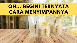 Cara Menyimpan ASI yang Benar - Seputar Susu