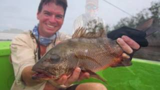 Sette Cama, Gabon - Fishing Trip March 2016