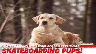 Skateboarding with Four Golden Retrievers!