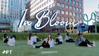 [MIT ADT] [KPOP IN BOSTON] [KPOP IN PUBLIC] ZEROBASEONE - In Bloom Dance Cover