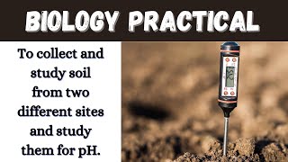 To determine the pH of the Soil || Biology Practical || Biology || Learning practicals