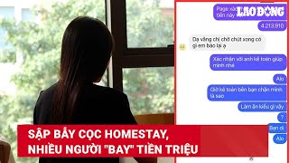 Sập bẫy cọc homestay, nhiều người "bay" tiền triệu | Báo Lao Động