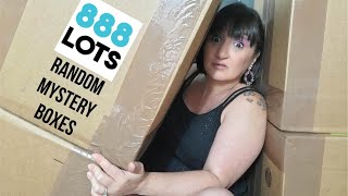 Unboxing Some Random Mystery Boxes From 888LOTS