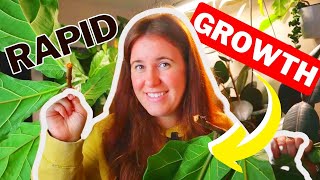 How To Prune Your Plants For Rapid Growth! Taking Cutting In Winter.