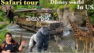 Safari Tour||Disney World||Telugu vlogs from USA