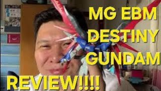 MG 1/100 Destiny Gundam Extreme Blast Mode in 2023