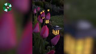 6 pcs Lámpara Solar para Jardín exterior, Baliza LED Jardín